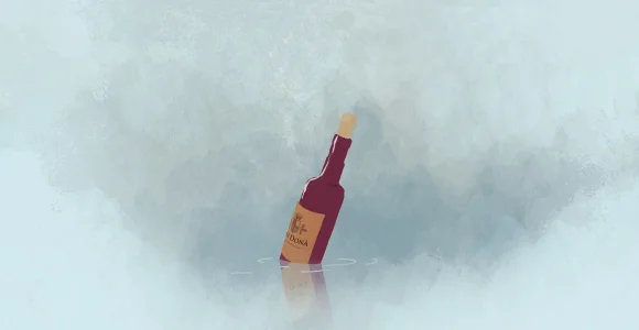 copertina drei Donà